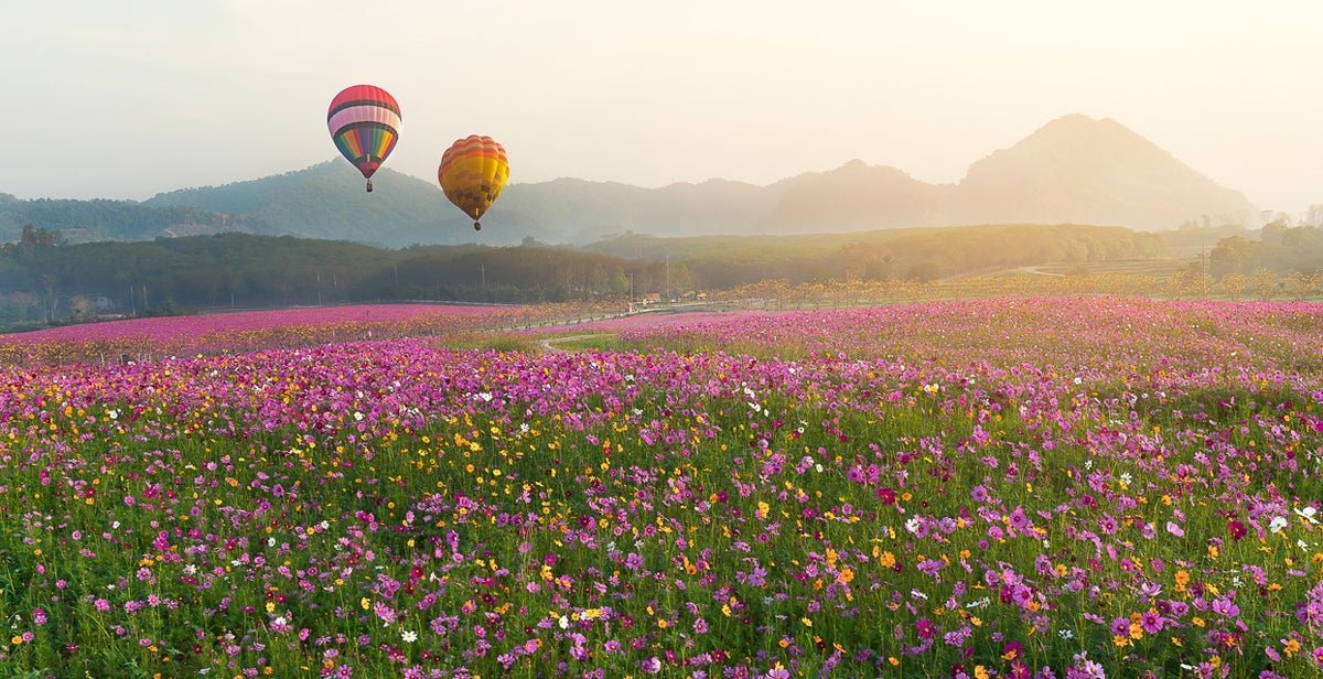 new mexico hot air balloons